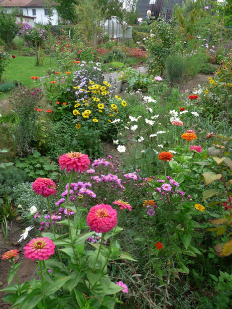  - 2017 - 03 - Toamna