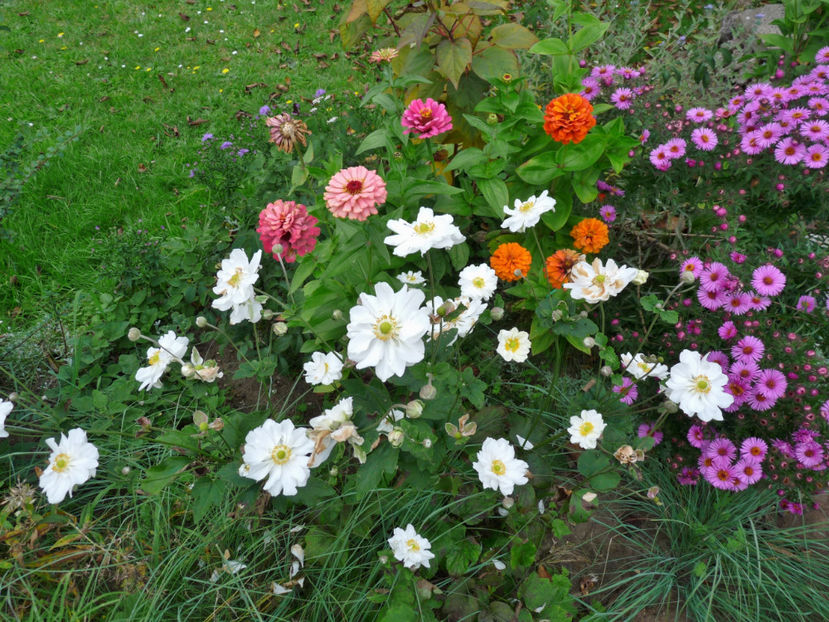  - 2017 - 03 - Toamna