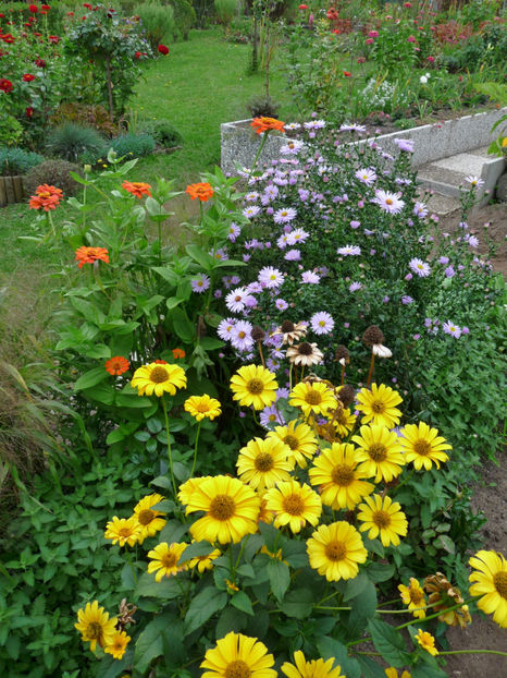  - 2017 - 03 - Toamna