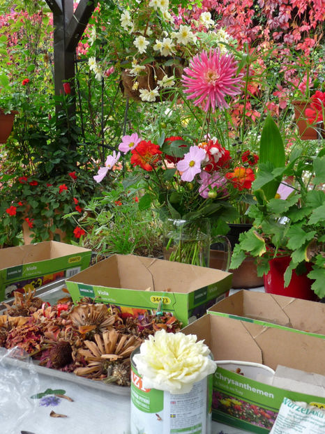  - 2017 - 03 - Toamna