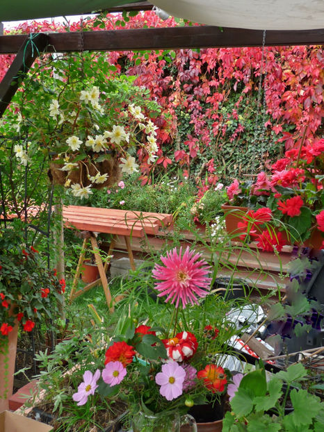  - 2017 - 03 - Toamna