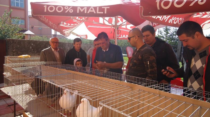  - Expo tineret Belint 2017