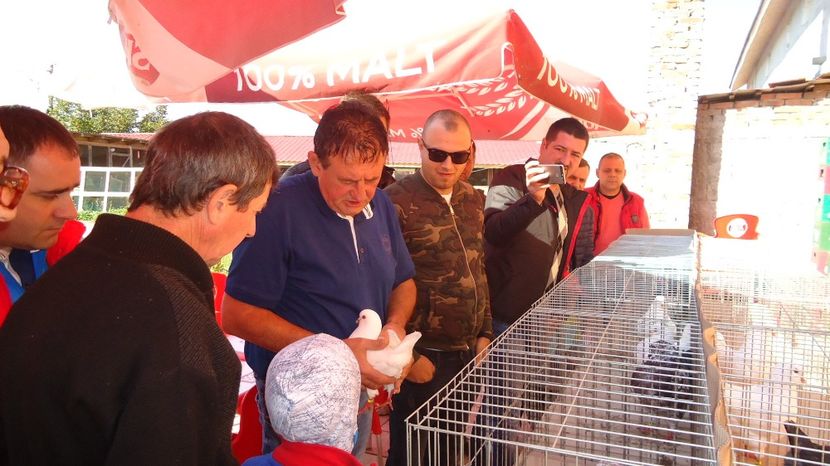  - Expo tineret Belint 2017