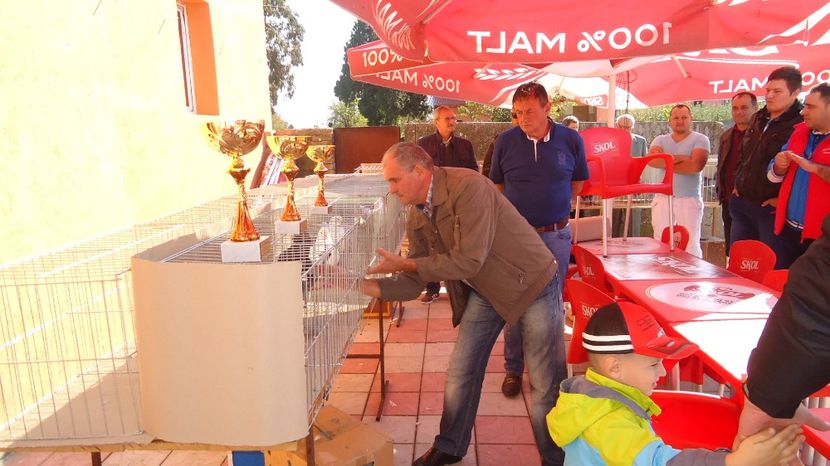  - Expo tineret Belint 2017