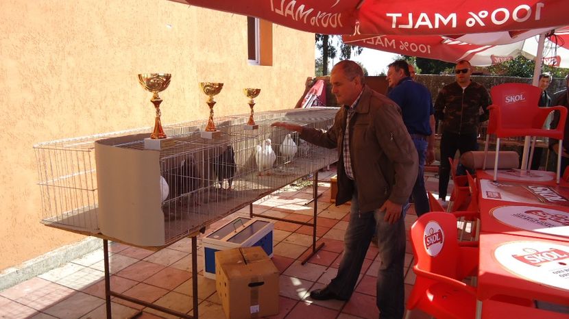  - Expo tineret Belint 2017