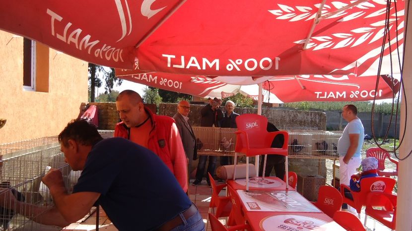  - Expo tineret Belint 2017