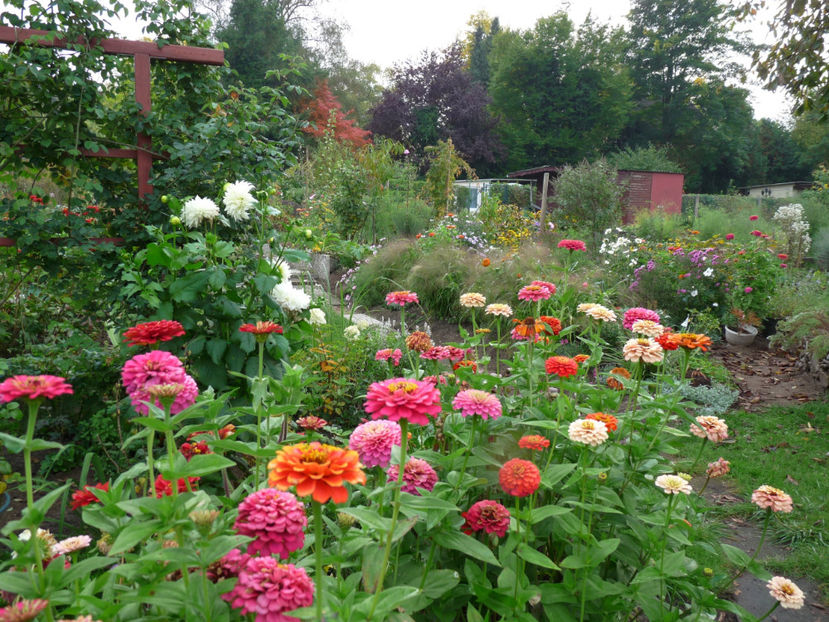  - 2017 - 03 - Toamna