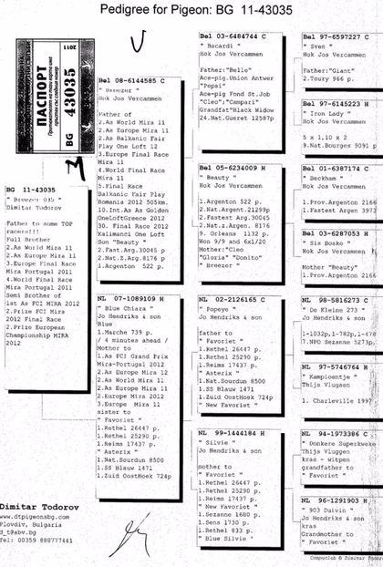 ped dimitar - Dimitar