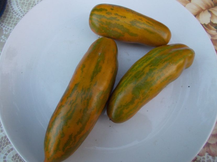  - SEMINTE ROSII - GREEN SAUSAGE