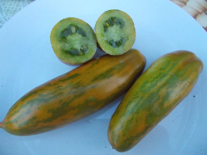  - SEMINTE ROSII - GREEN SAUSAGE