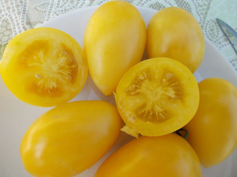  - SEMINTE ROSII - BANANA CREAM
