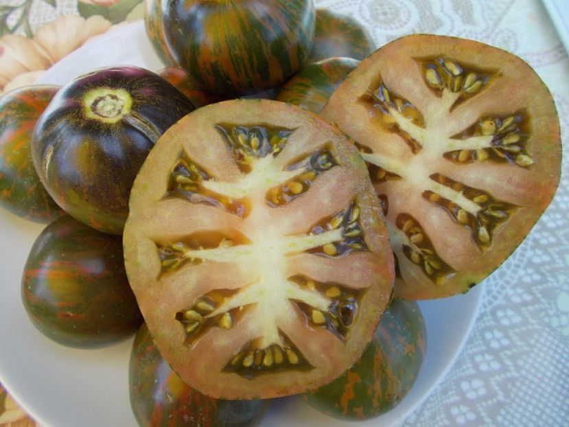  - SEMINTE ROSII - BLUE ZEBRA