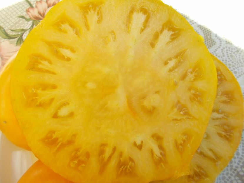  - SEMINTE ROSII - BIJSKIJ ZELTYI