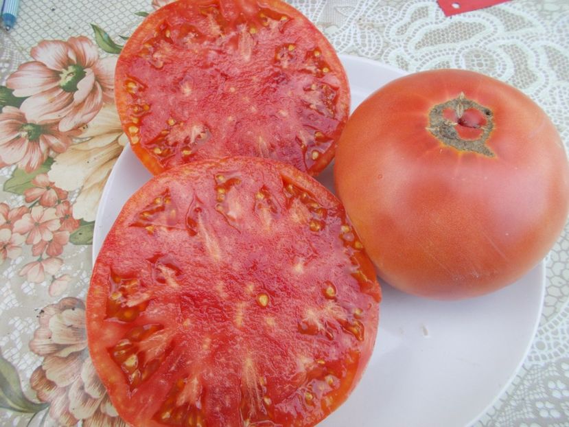  - SEMINTE ROSII - PRUDENS PURPLE