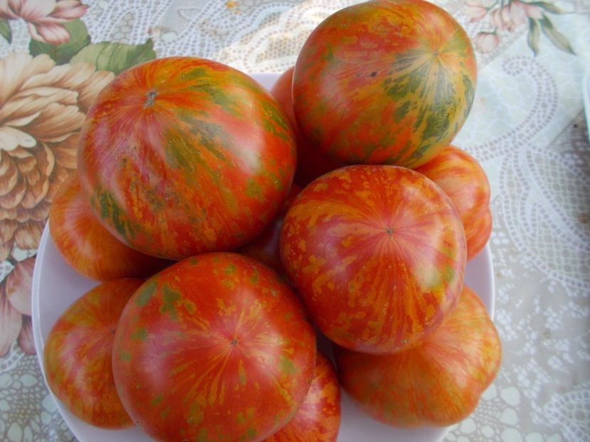  - SEMINTE ROSII - JANTARY