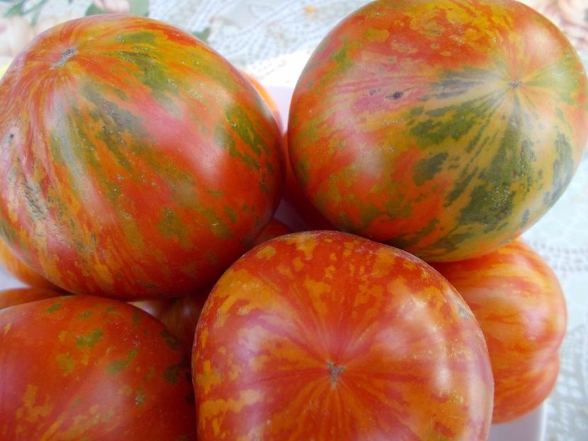  - SEMINTE ROSII - JANTARY