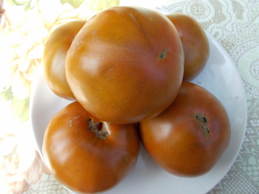  - SEMINTE ROSII - BLUE PLUM