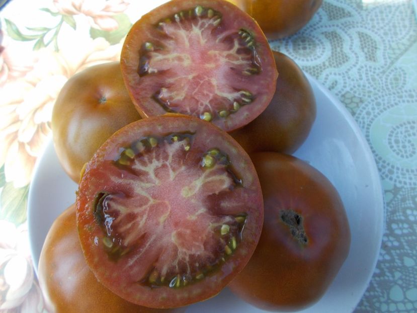  - SEMINTE ROSII - BLUE PLUM