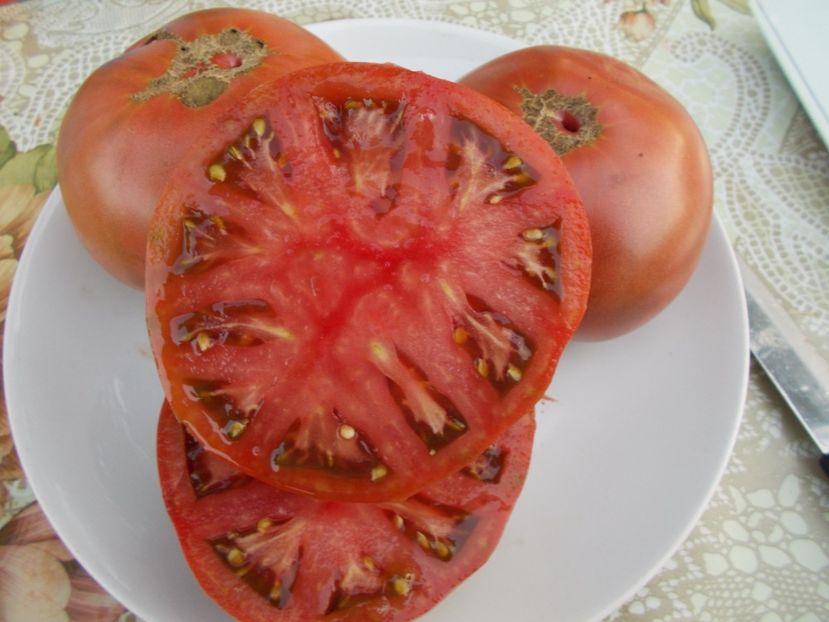  - SEMINTE ROSII - INDIAN STRIPE