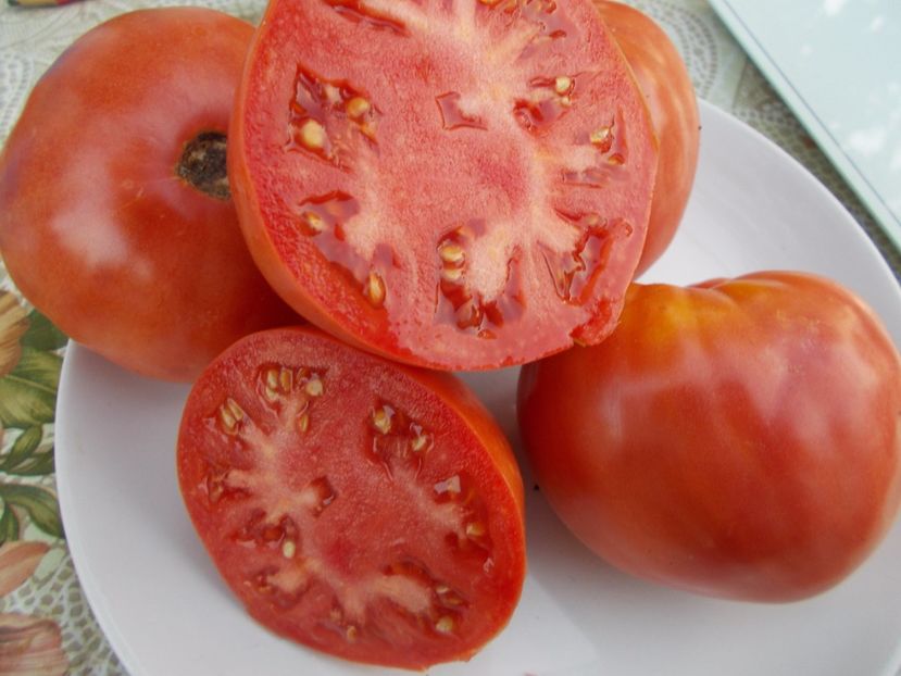  - SEMINTE ROSII - INIMA DE BOU OXHEART