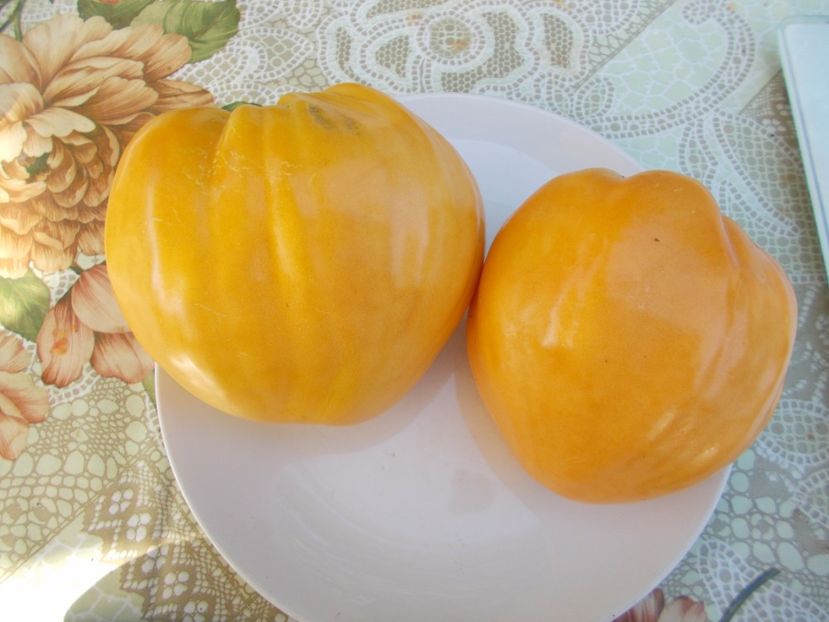  - SEMINTE ROSII - YELLOW OXHEART