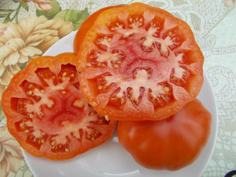  - SEMINTE ROSII - MARMANDE