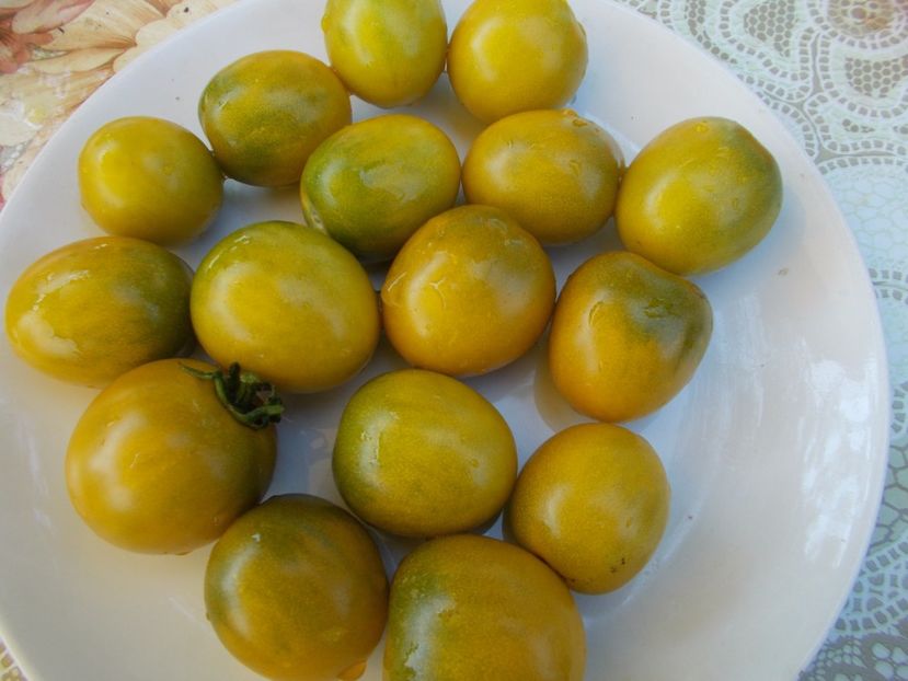  - SEMINTE ROSII - GREEN GRAPE