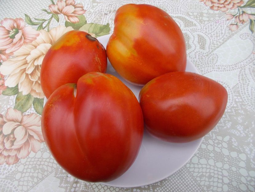  - SEMINTE ROSII - INIMA DE BOU DIN RUSIA