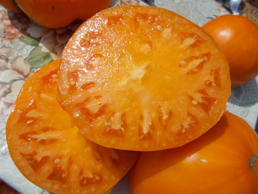  - SEMINTE ROSII - ORANGE STRAWBERRY