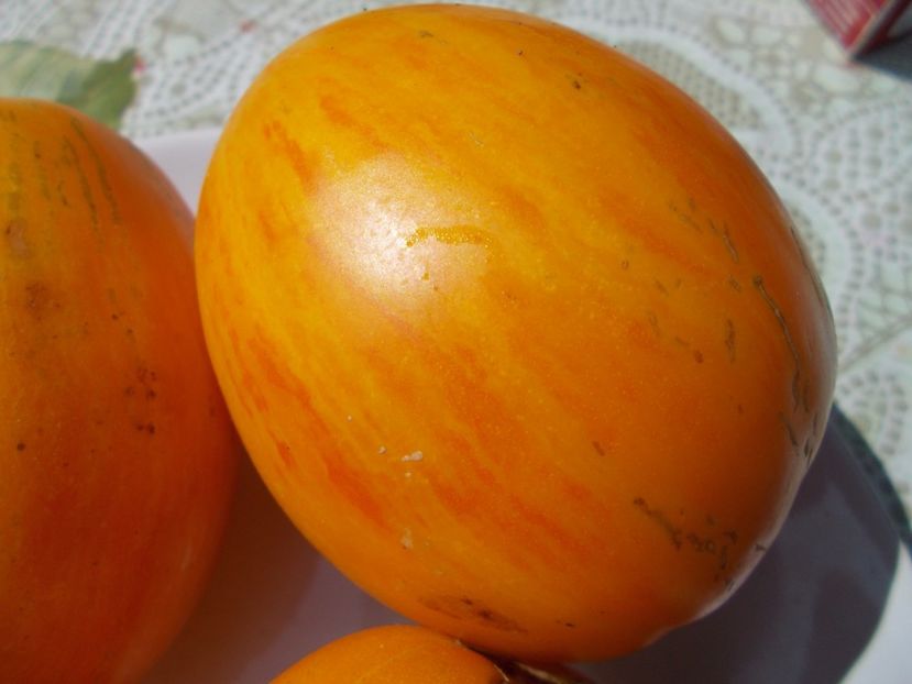  - SEMINTE ROSII - IN FORMA DE PANA GALBENE