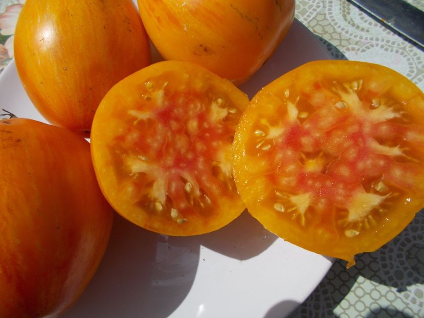  - SEMINTE ROSII - IN FORMA DE PANA GALBENE