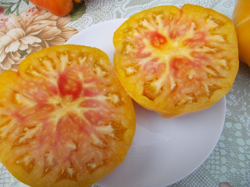  - SEMINTE ROSII - ARMENIAN