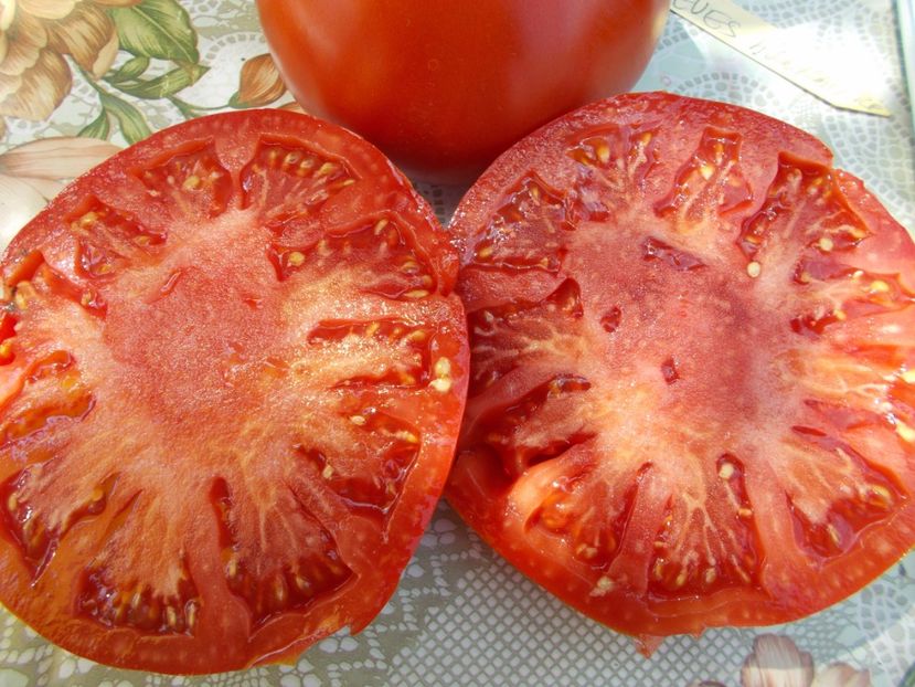  - SEMINTE ROSII - NEVES AZOREAN RED