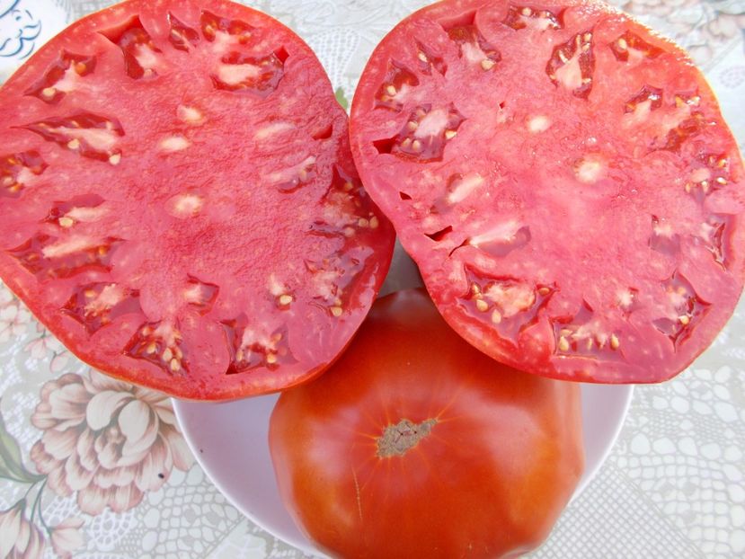  - SEMINTE ROSII - FAVORIT DE ZAREN