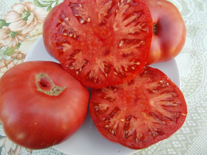  - SEMINTE ROSII - BELGIAN FARMER BEEFSTEAK