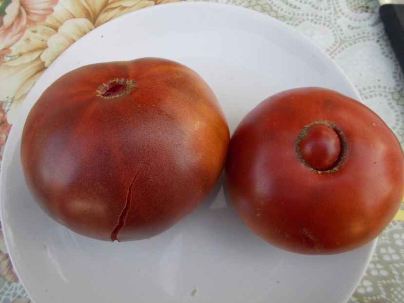  - SEMINTE ROSII - BLACK KRIM