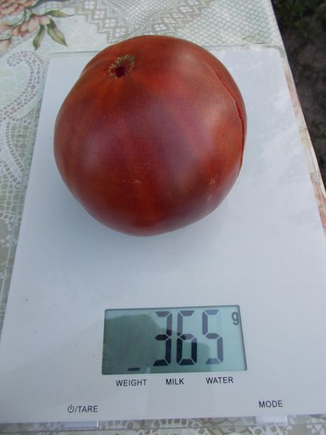  - SEMINTE ROSII - BLACK KRIM