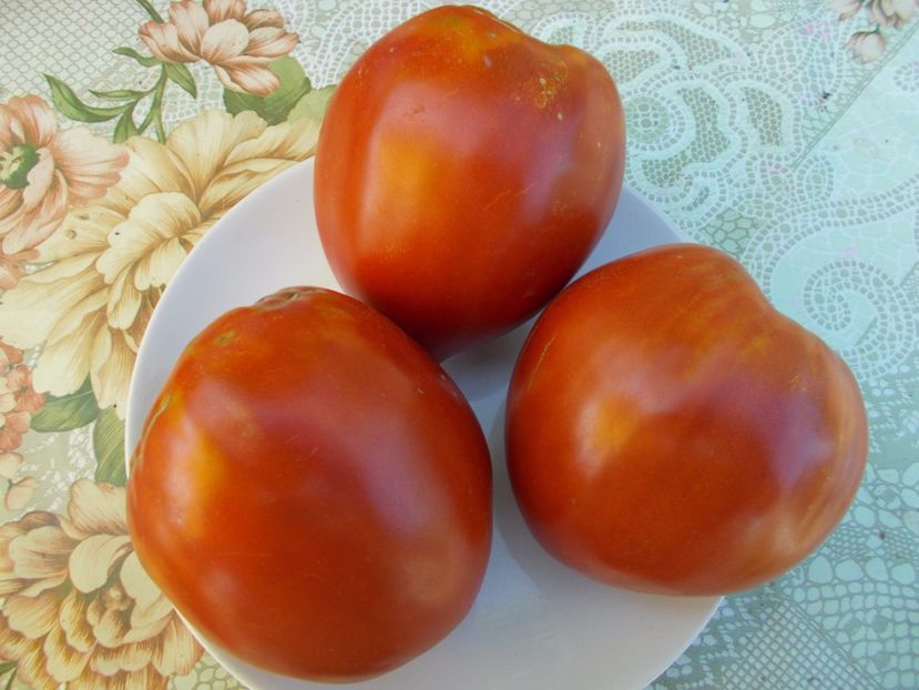  - SEMINTE ROSII - INIMA DE BOU DIN RUSIA