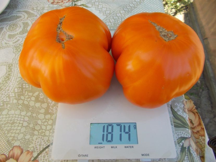  - SEMINTE ROSII - ORANGE STRAWBERRY