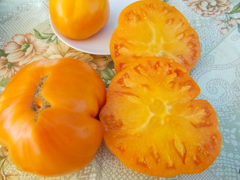  - SEMINTE ROSII - ORANGE STRAWBERRY