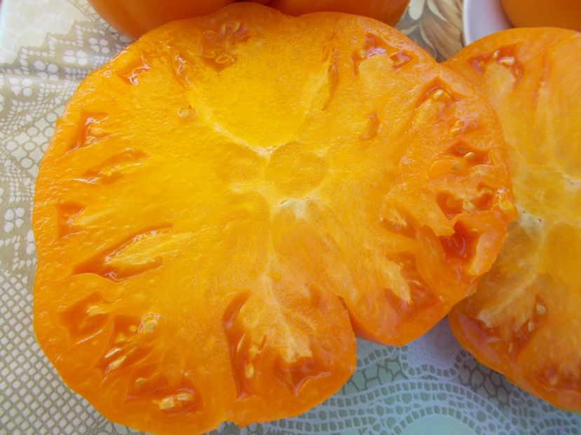  - SEMINTE ROSII - ORANGE STRAWBERRY