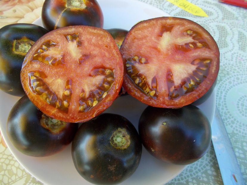  - SEMINTE ROSII - BLUE WONDER