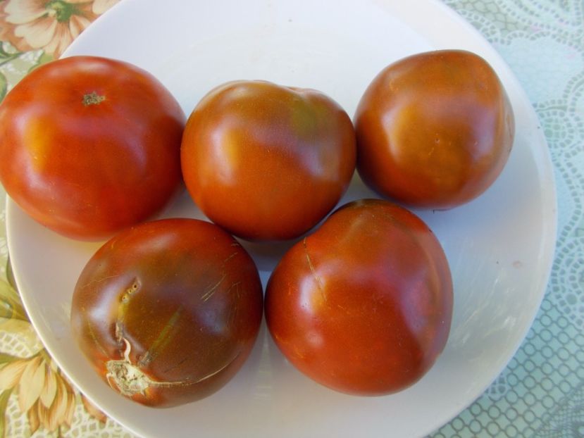  - SEMINTE ROSII - BLUE PLUM