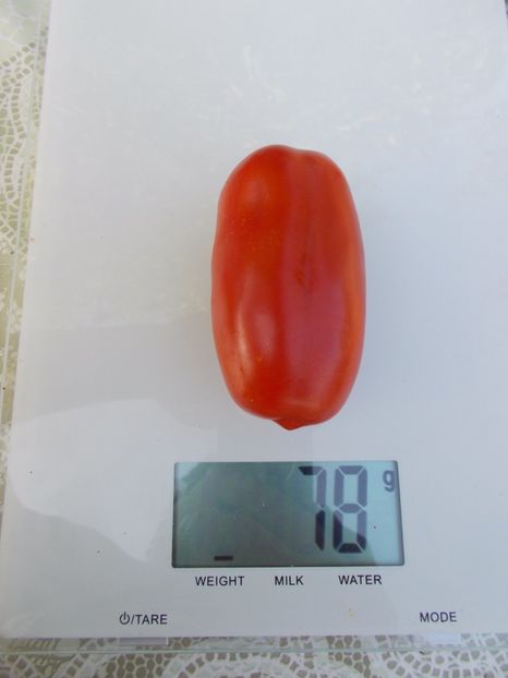  - SEMINTE ROSII - ROMARZANO