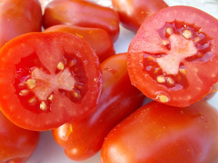  - SEMINTE ROSII - ROMARZANO