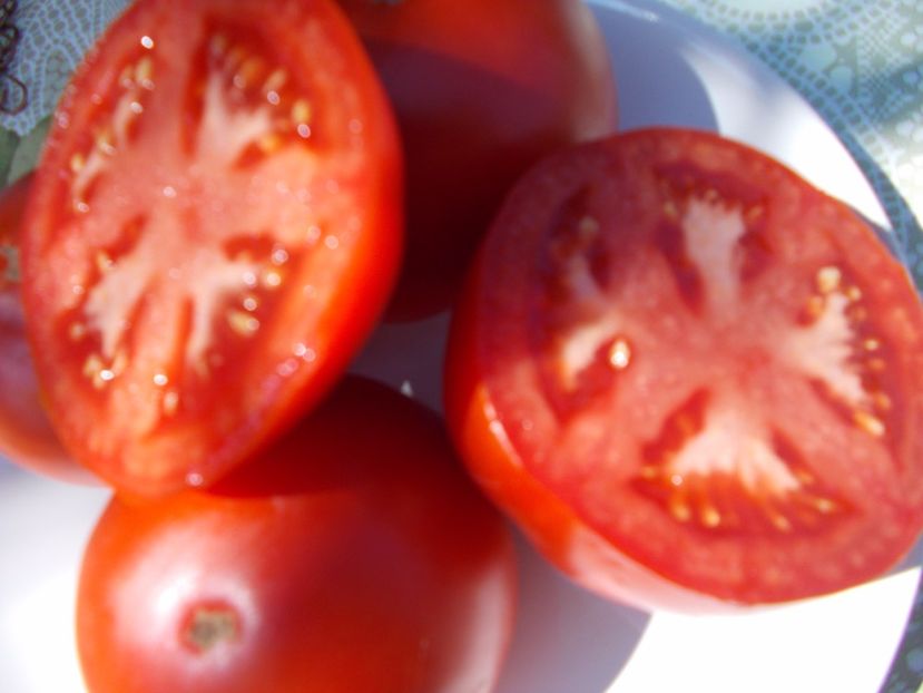  - SEMINTE ROSII - VEZHA