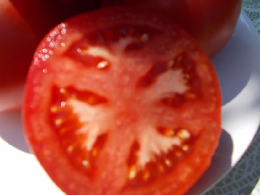  - SEMINTE ROSII - VEZHA