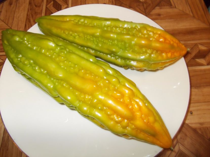  - SEMINTE CASTRAVETE AMAR- MOMORDICA CHARANTIA