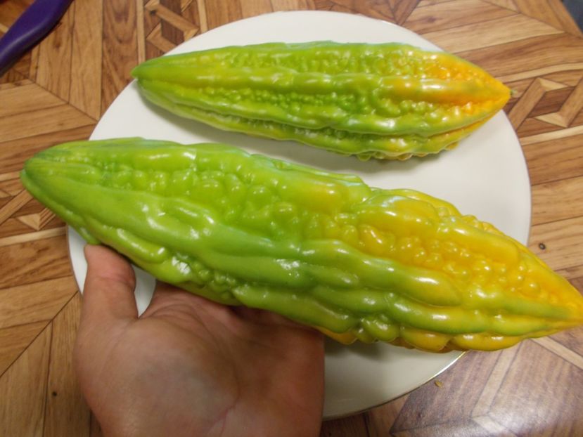  - SEMINTE CASTRAVETE AMAR- MOMORDICA CHARANTIA