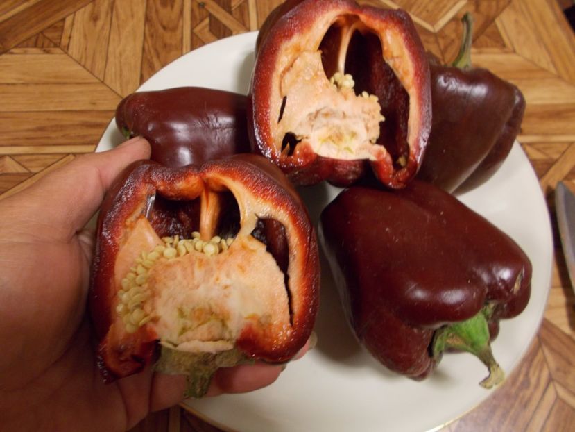  - SEMINTE ARDEI - A 08 MARON CHOCOLATE BEAUTY